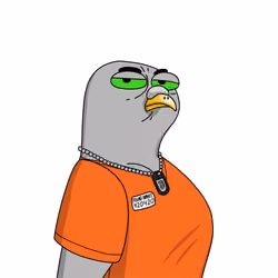 Gutter Pigeon #6903
