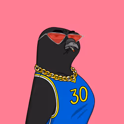 Gutter Pigeon #8792