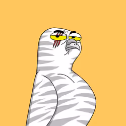 Gutter Pigeon #7443