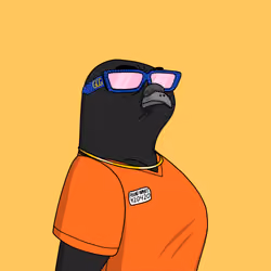 Gutter Pigeon #7226