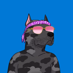Gutter Dog #3580