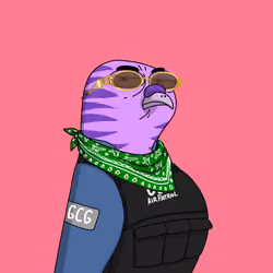Gutter Pigeon #8456
