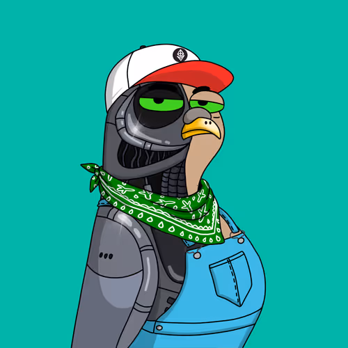 Gutter Pigeon #8999