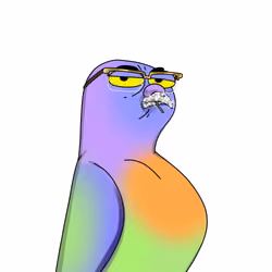 Gutter Pigeon #8334