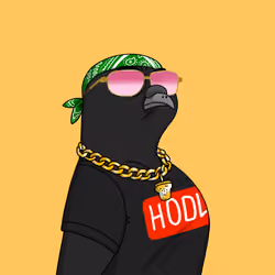 Gutter Pigeon #7465