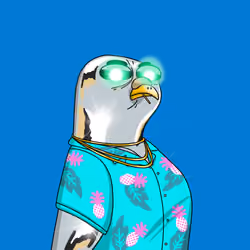 Gutter Pigeon #6487