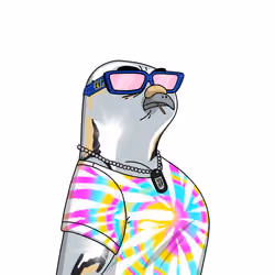 Gutter Pigeon #6947