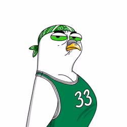 Gutter Pigeon #7548