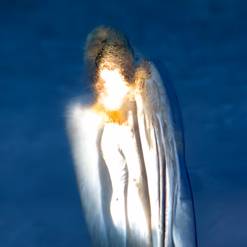 #168