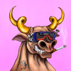 Bull #1313