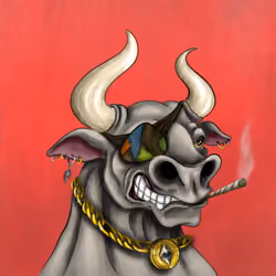 Bull #2462