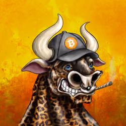 Bull #1297