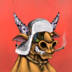 Bull #675