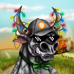 Bull #1242