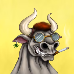 Bull #2480