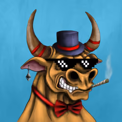 Bull #1355