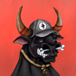 Bull #24