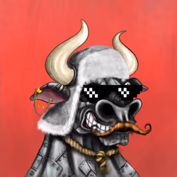 Bull #1071