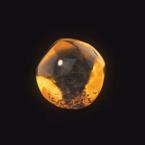 Cube Fossil