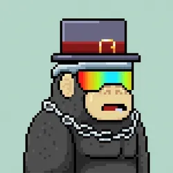 Maximals #3005
