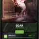 Boar