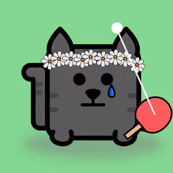 Square Cat #263