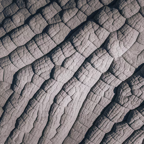 05 // Pillows