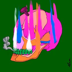 Wicked Cranium X Haylos #2175