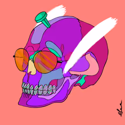 Wicked Cranium X Haylos #1572