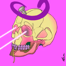 Wicked Cranium X Haylos #2426