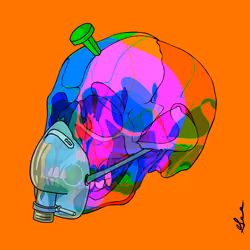 Wicked Cranium X Haylos #3590