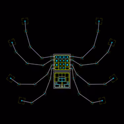 Segecognatus Equosa