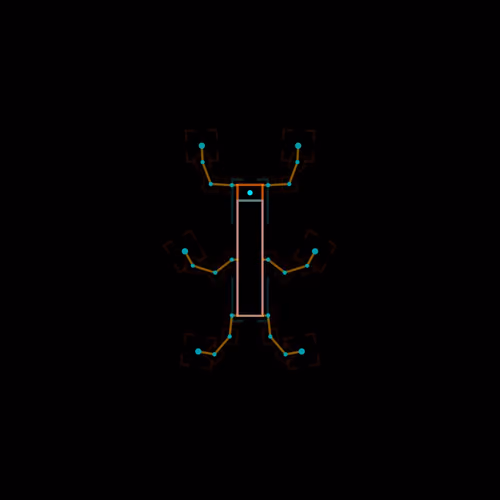 Oncoccus Atlica