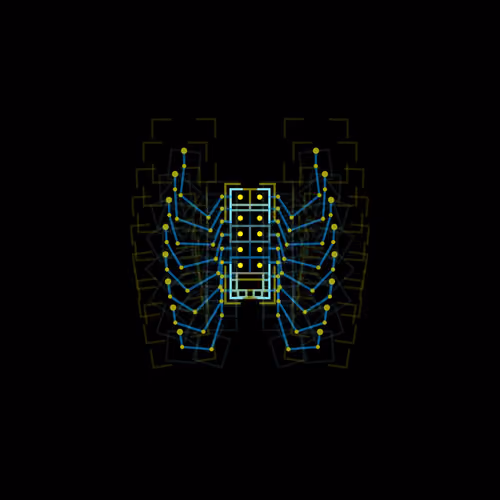 Neopalia Parophoratus