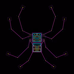 Attus Napholcuspan