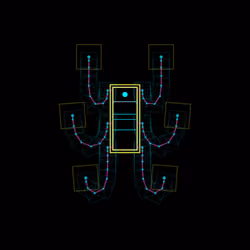 Maua Obtus