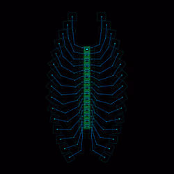 Charpolys Kalensis