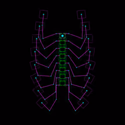 Mecistocephalus Biseus