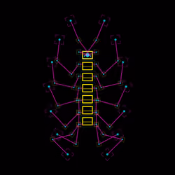 Lithobius Patovi