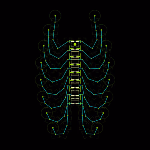 Mecistocephalus Caudus
