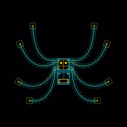 Pardosa Bitum