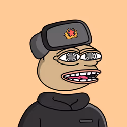 4037