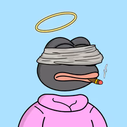 4916