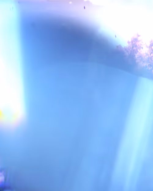 Item #65000100015 Media