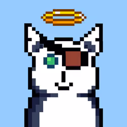MoonDoge #1078