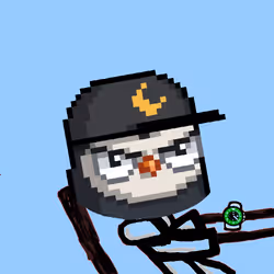 7763