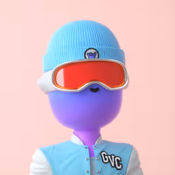 Citizen of Vibetown #5263