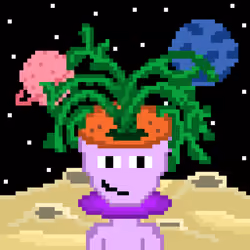 Plant Headz #55