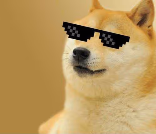Coregate Doge