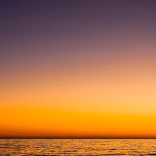 Joe Z Photography